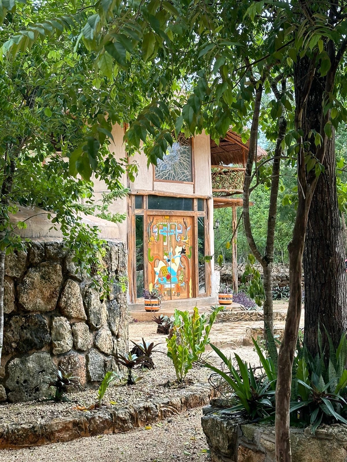 Cabin 4 — secluded cabin viewed through native foliage.